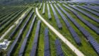 A solar power plant co-owned by Longi Green Energy Technology and China Three Gorges in Tongchuan, Shaanxi Province, China. Photographer: Qilai Shen/Bloomberg