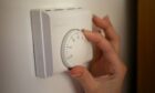 Sp energy networks trial