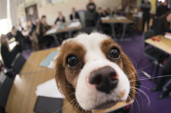 Arnie at Torry Academy.