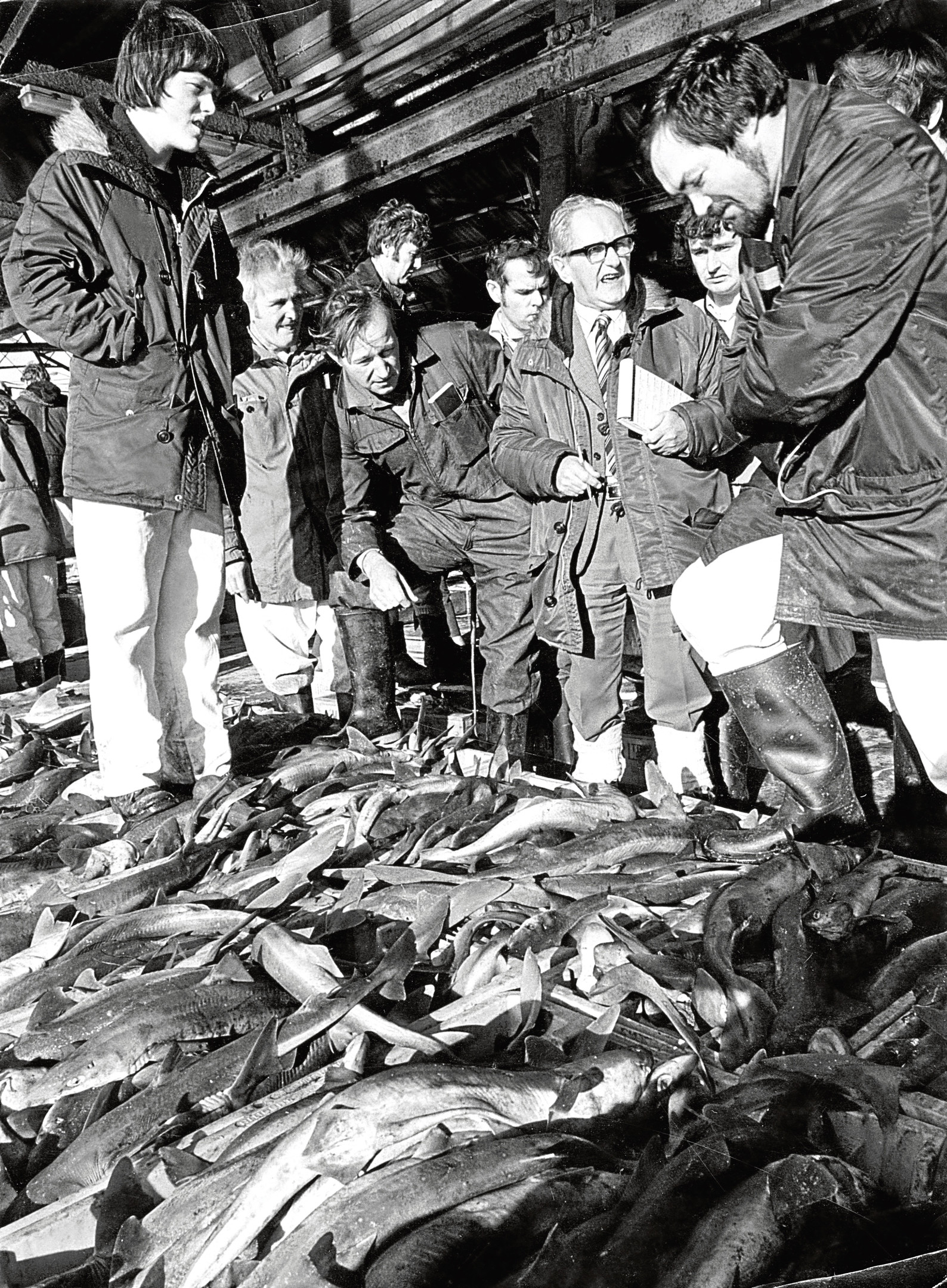 In Pictures Aberdeen Fish Market Evening Express