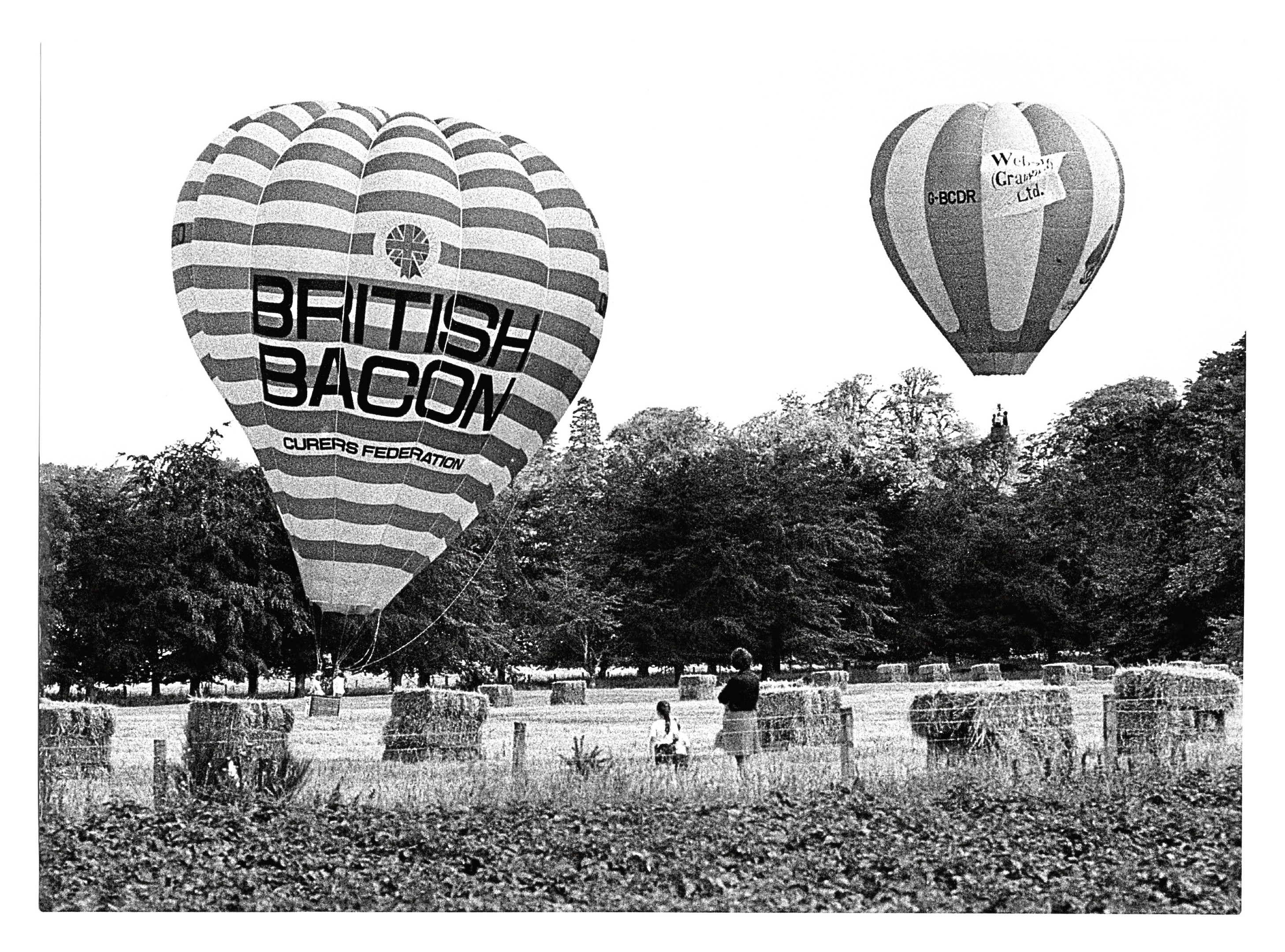 In Pictures: Hot air balloons in the North-east - Evening Express