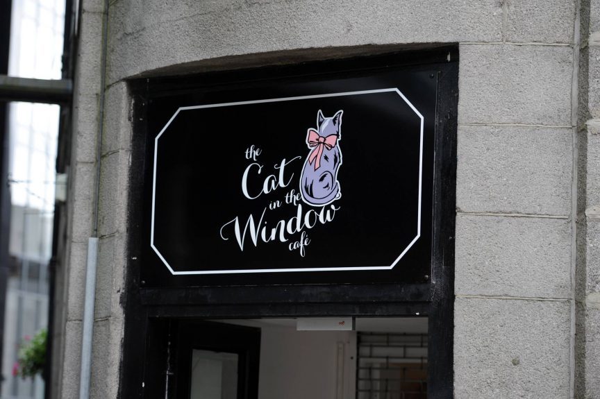  Aberdeen  s only cat  cafe  is facing closure but it s 