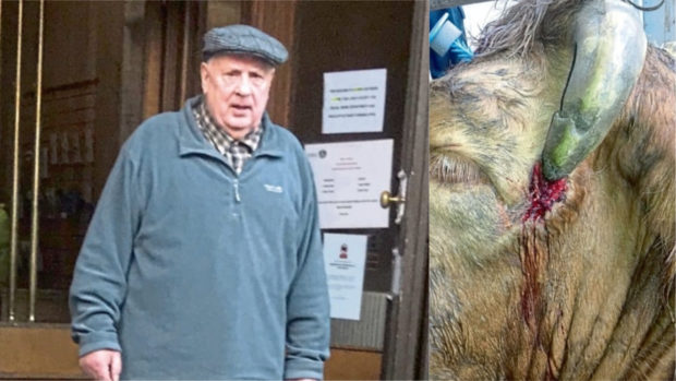 Marshall Hay