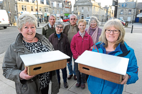 The Huntly Swift Group are looking to aid the bird population, which has dropped by 50% in the past 20 years.