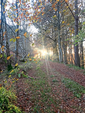 Old Kemnay road woodland near Inverurie, would be affected.