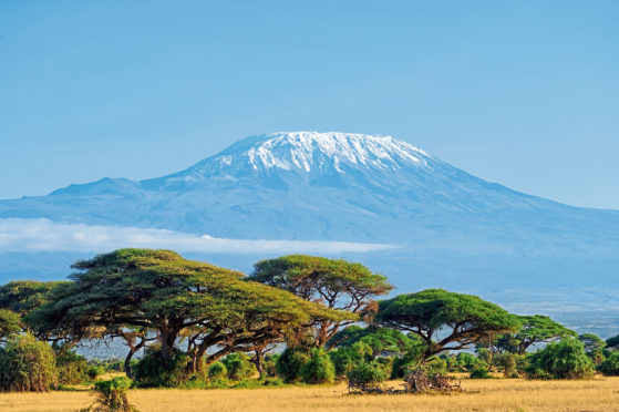 Mount Kilimanjaro in Amboseli