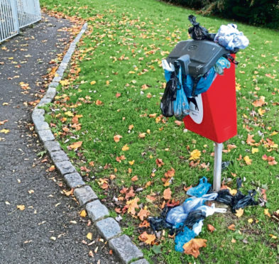 An overflowing dog poo bin
