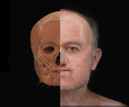SK125's skull with muscle overlaid, left, and right, how he would have looked