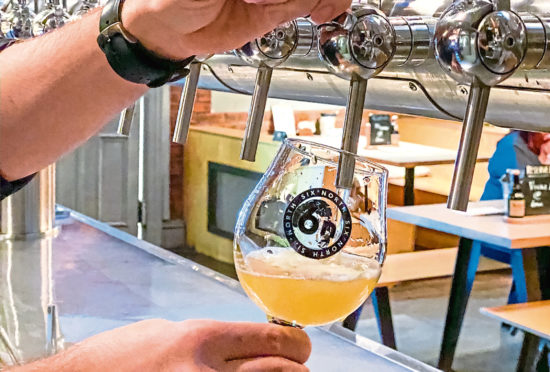 Hop Harvest 2019 has just been launched to the public