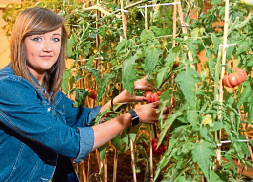 Ellie Sinclair of the VegCo
Handout image