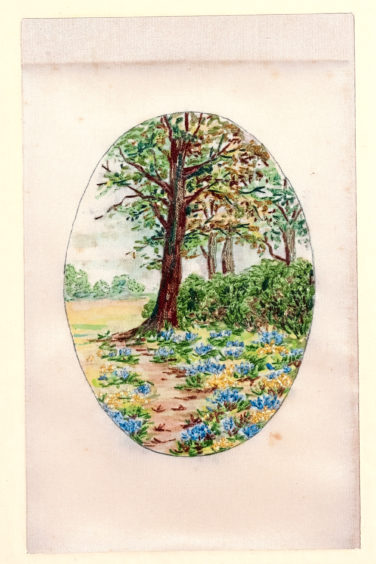 Embroidered Picture of Bluebells
by Margaret Winifride Simpson Embroidered Picture of Bluebells
by Margaret Winifride Simpson