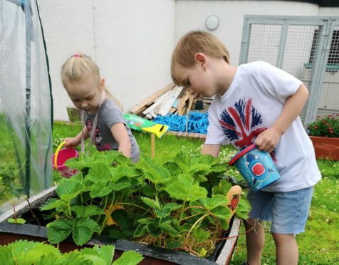 Middlefield Community Project decided to start growing its own fruit and vegetables