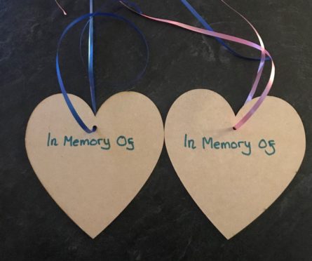 The tags which will be put on a tree at Hazlehead Park