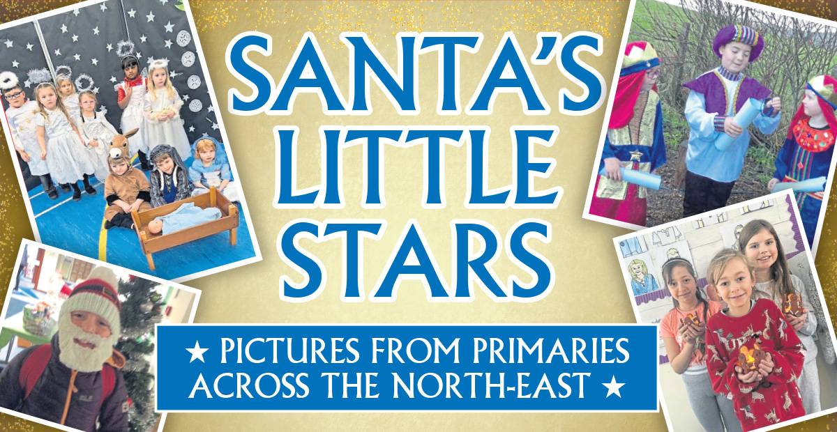 Santa's Little Stars: All the school's featured in Tuesday's supplement - Vimarsana News