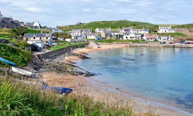 Staycations may be possible in summer, according to Professor Bauld.