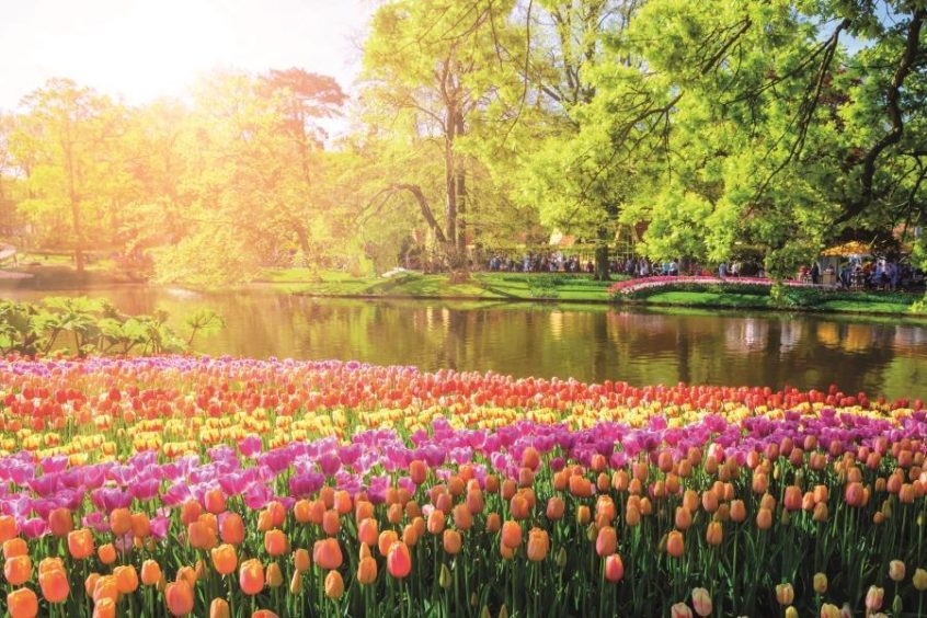 Keukenhof