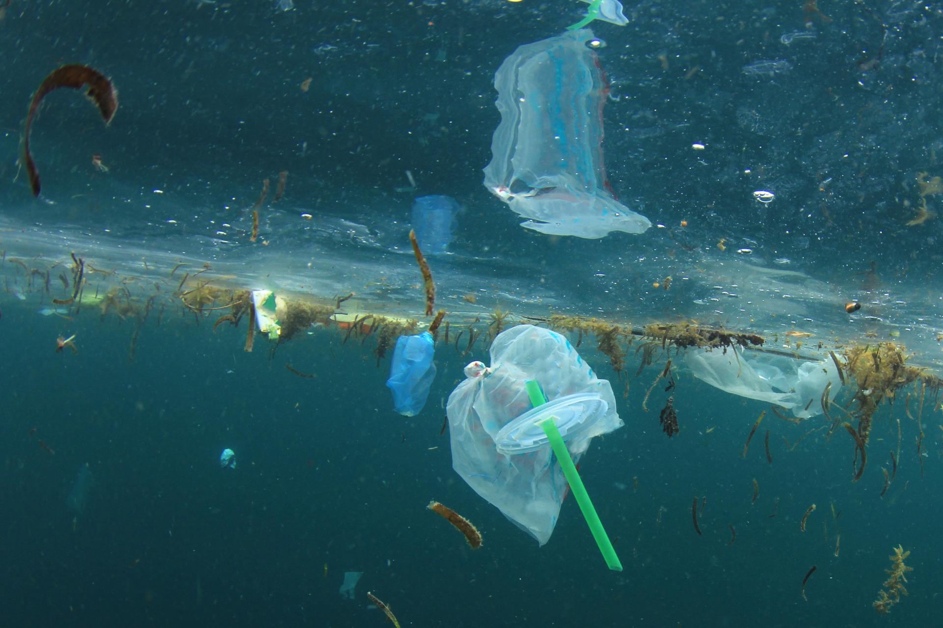 Aberdeen school pupils speak out against single-use plastics - Vimarsana News