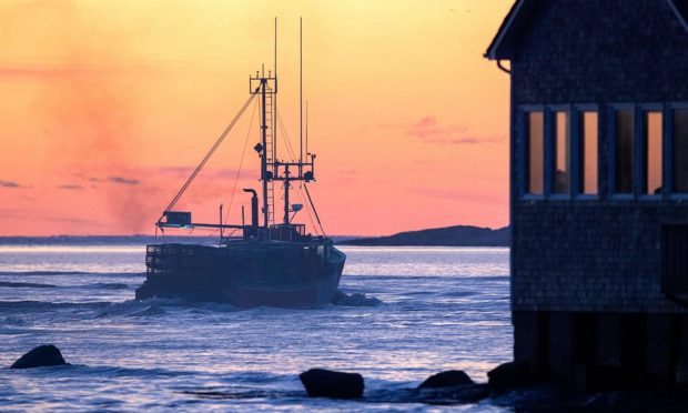 Brexit fishing quota