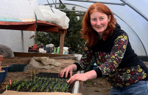 Anna Wilson of Huntly Herbs
