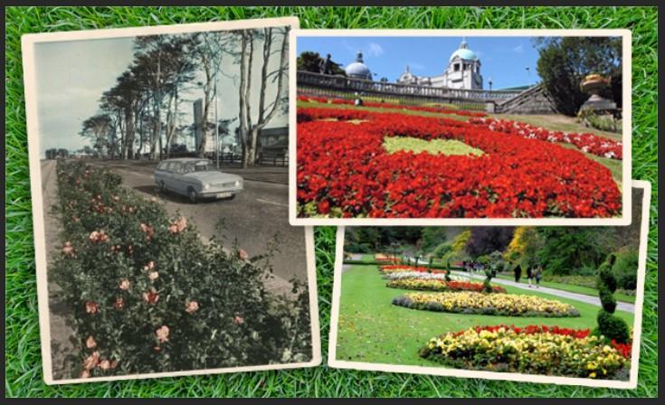 Aberdeen in bloom over the years, left from clockwise, roses on Anderson Drive in the 1970s, Union Terrace Gardens and Seaton Park.