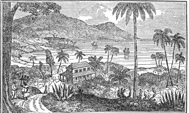 A 19th Century wood engraving of a plantation In Jamaica.