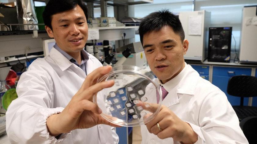 Scientists develop a skin patch that could help reduce 'bulging tummy' fats