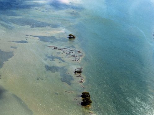 Evidence suggests coral bleaching has been occurring on Australia’s Great Barrier Reef for 400 years (Steve Parsons/PA)