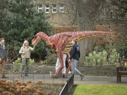 Edinburgh Zoo’s animatronic velociraptor as an expert says the dinosaurs were intelligent and probably hunted in packs (Danny Lawson/PA)