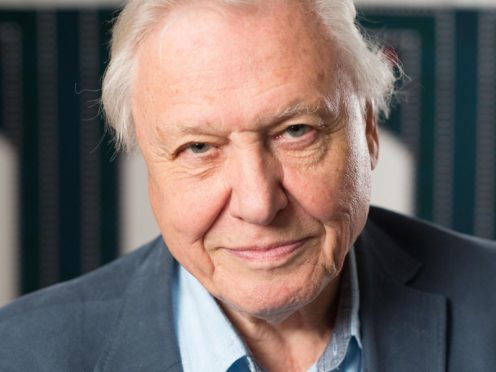 Sir David Attenborough is urging MSPs to ban the mechanical harvesting of kelp (David Parry/PA)