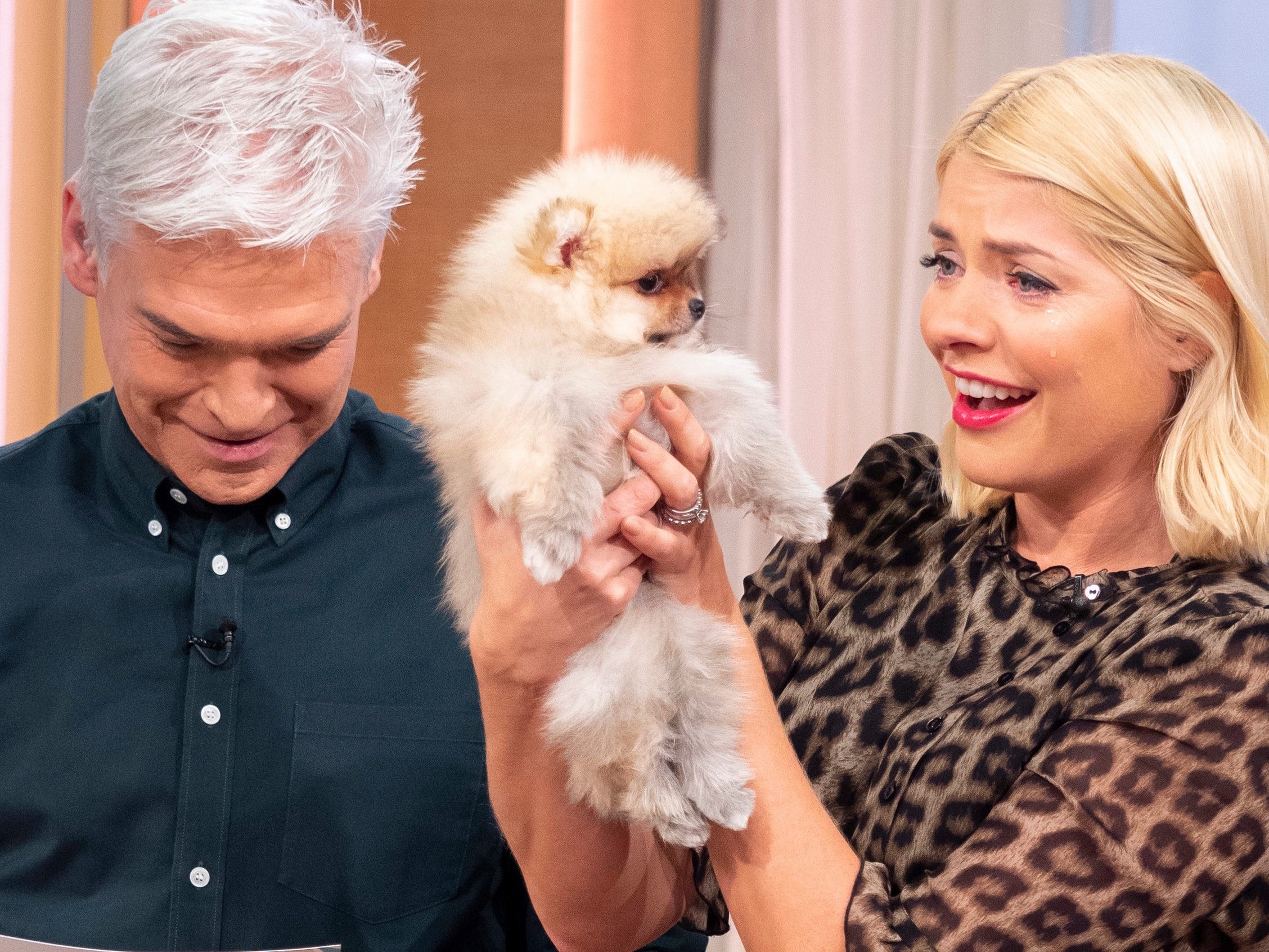 Holly Willoughby in tears as Phillip Schofield gives her basket of puppies - Evening ...2256 x 1692