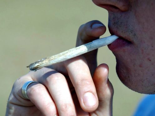 Daily cannabis and skunk users run higher psychosis risk Daily cannabis and skunk users run higher psychosis risk