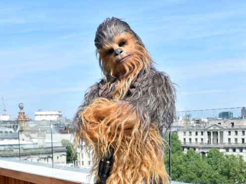 Tributes were paid to Peter Mayhew (Matt Crossick/PA)