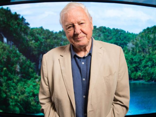 Sir David Attenborough on challenges and ‘variety of life’ shown in new series (David Parry/PA)