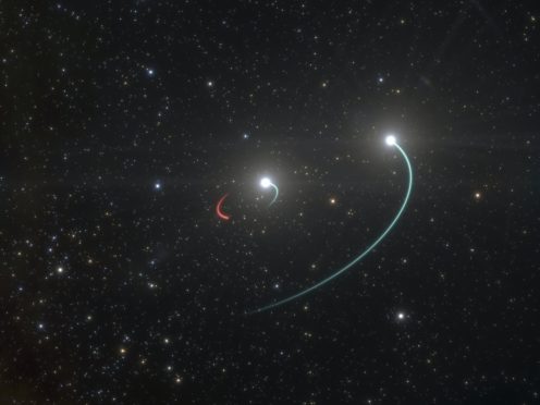 Illustration showing orbits of the objects in the HR 6819 triple system (European Southern Observatory/AP)