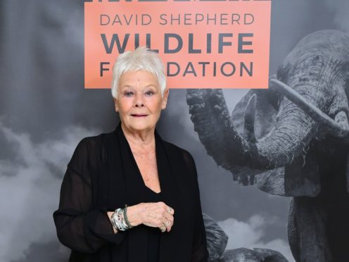 Dame Judi Dench makes a cameo in Michael Sheen and David Tennant’s virtual lockdown show, Staged (Ian West/PA)