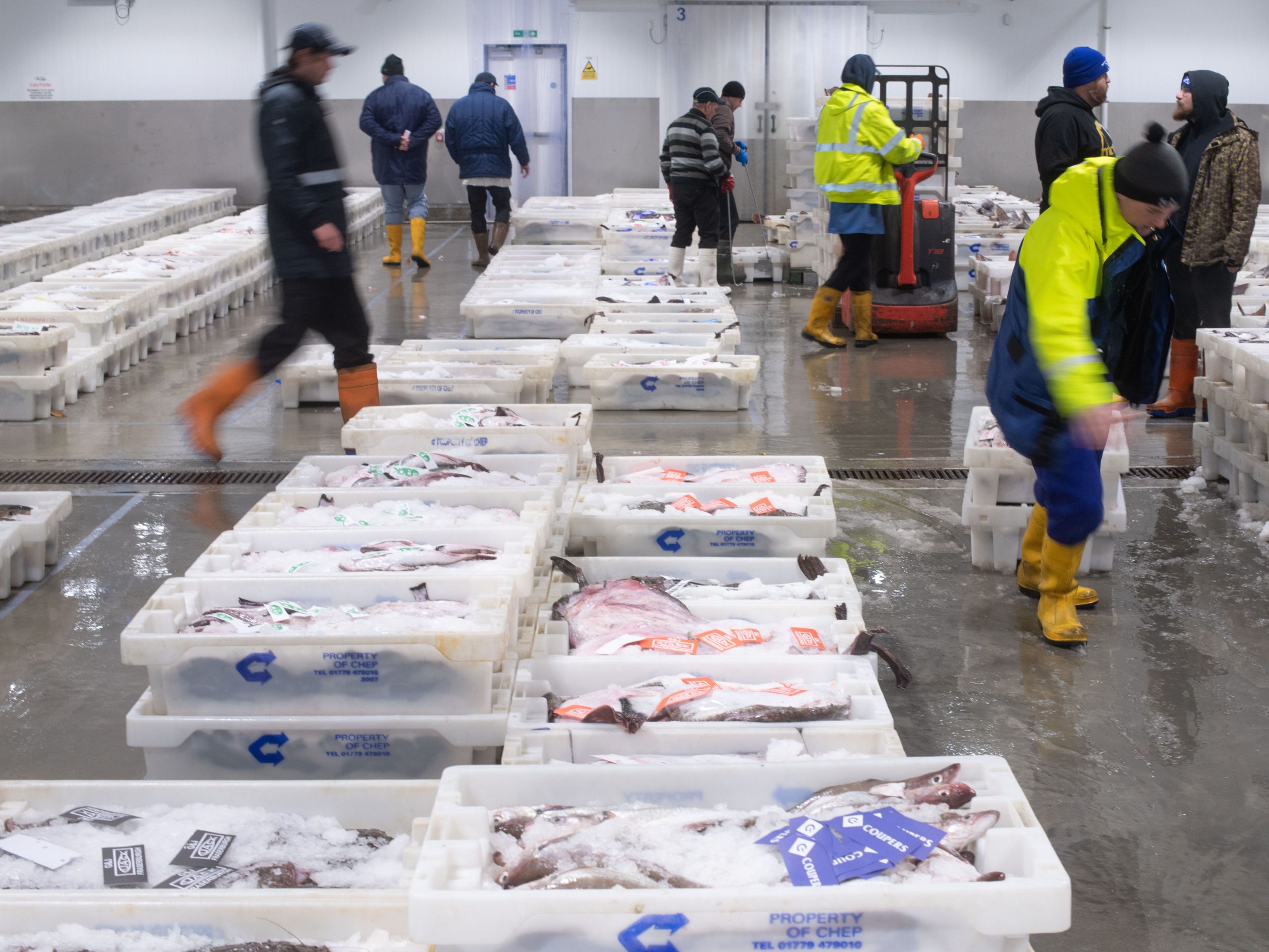Support announced for Scottish seafood and fishing industries - Vimarsana News