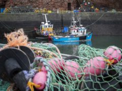 Fishing boats moored in Dunbar Harbour, East Lothian (PA)