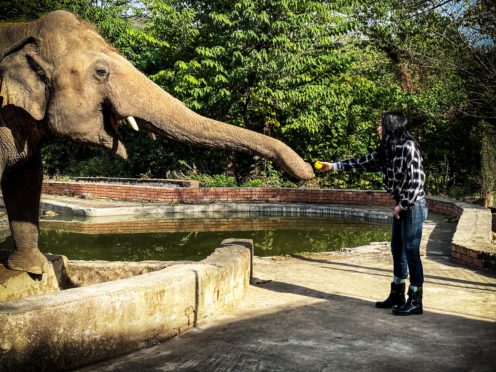 Cher said the power of social media led her on a quest to save the ‘world’s loneliest elephant’ (Zoobs Ansari/Smithsonian/PA)