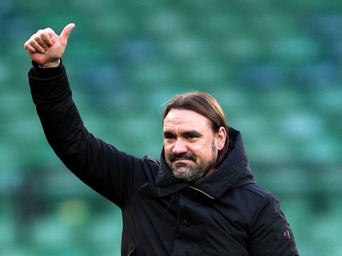 Daniel Farke has guided Norwich to an instant return to the Premier League (Nigel French/PA)