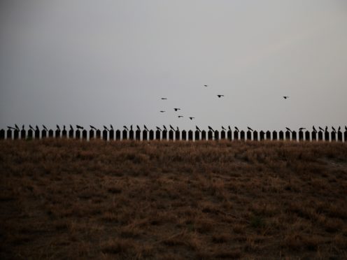 Birds perch on the top of the US-Mexico border fence in Penitas, Texas (Dario Lopez-Mills/AP)