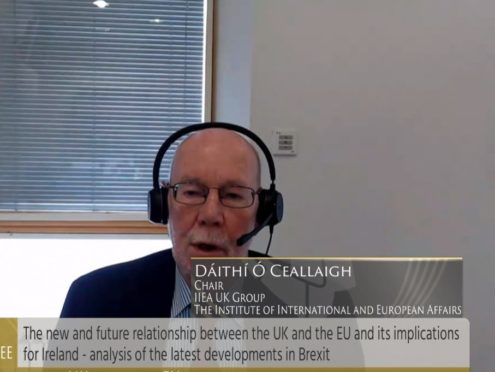 (Oireachtas TV/PA)
