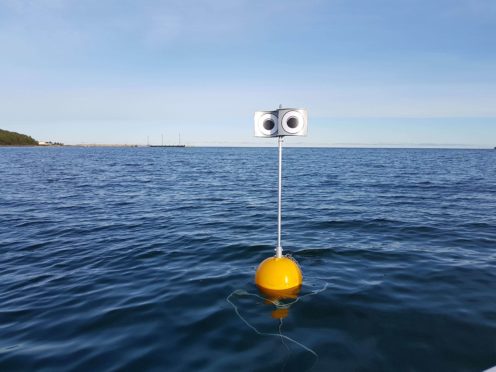 A ‘looming-eyed buoy’ deterrent deployed within the Kudema Bay, Estonia (Andres Kalamees/PA)