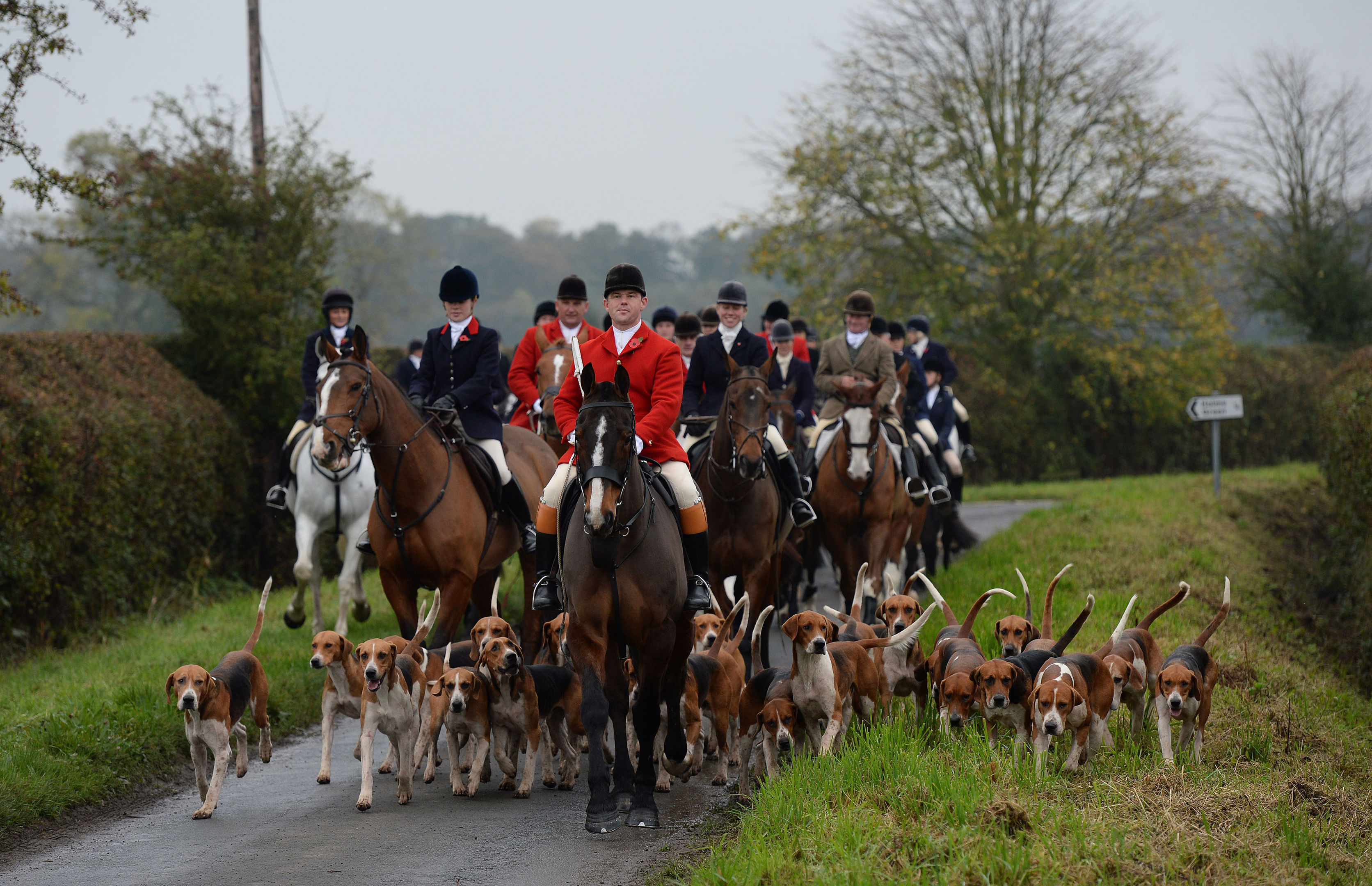 Fox hunting.