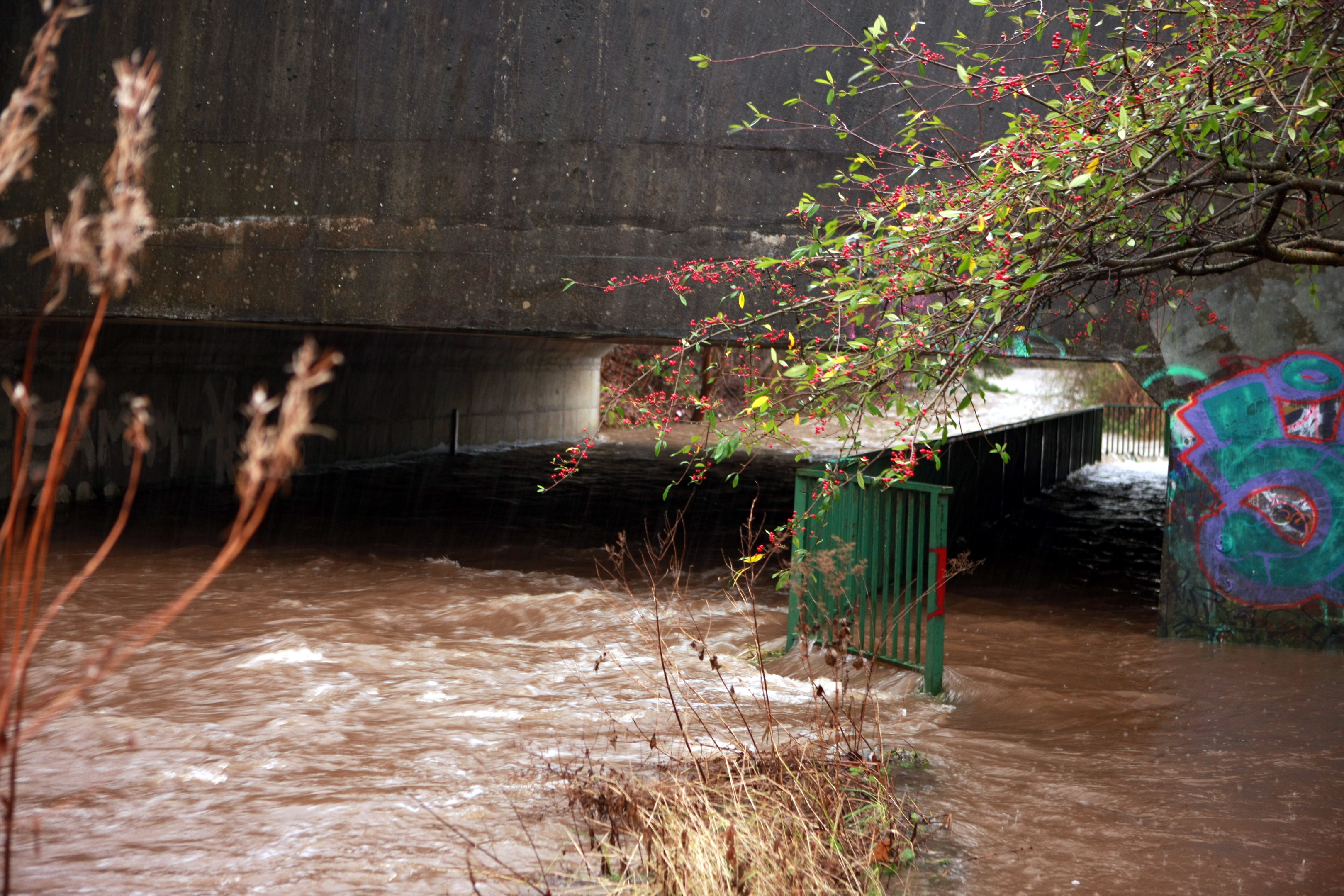 Dundee Weather Flood warnings for Tayside Evening Telegraph