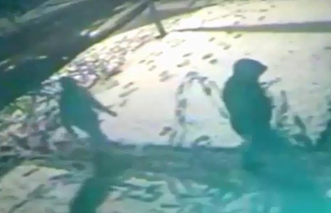 A still from CCTV released by police shows the raiders approaching the home.