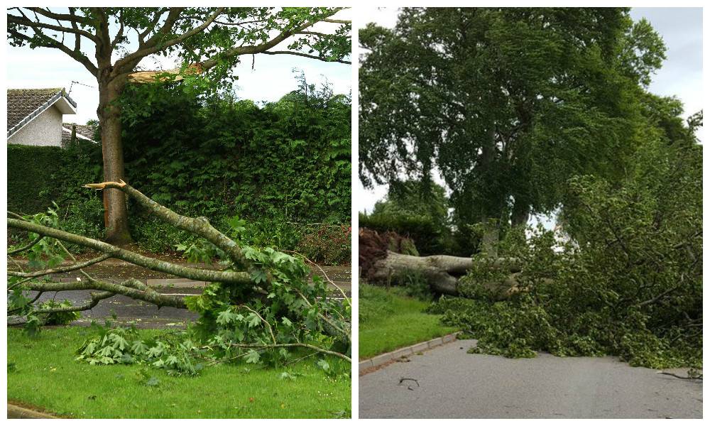 Shielhill Road at Kirriemuir Golf Club