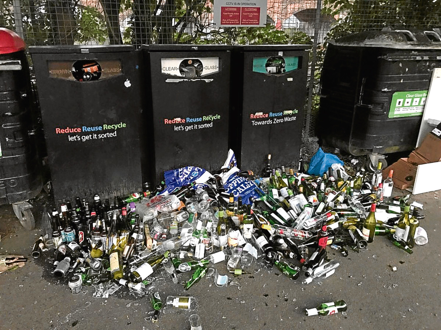 Council refuse chief responds to concerns over new Dundee bin