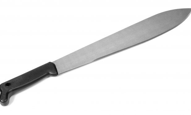 A machete (stock image)