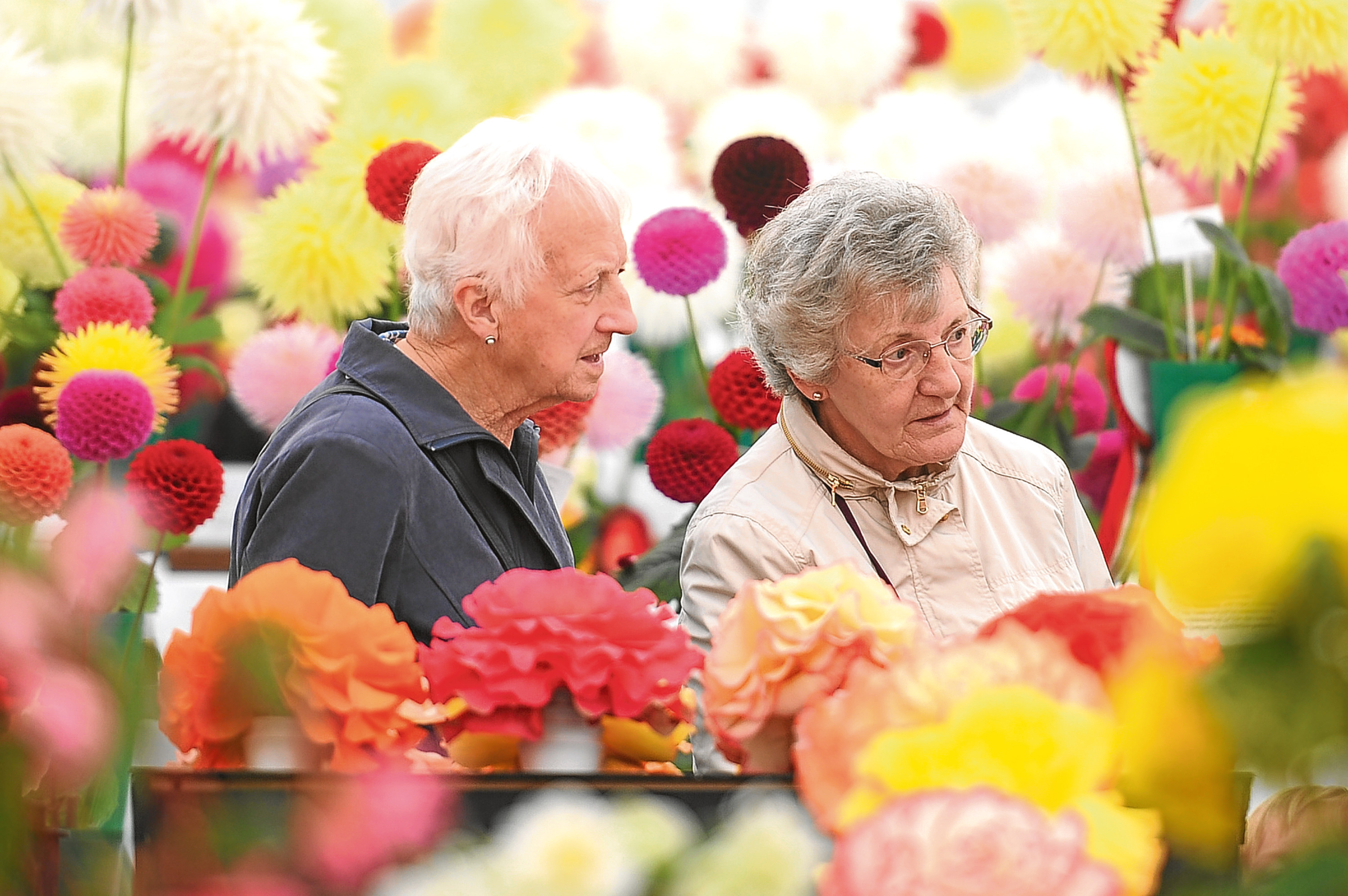 Dundee Flower and Food Festival hailed a success, with 20,000 visitors