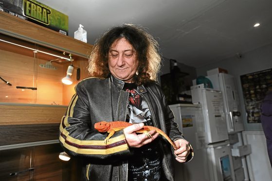 Marc back in his Stobswell store with Kennedy, a bearded dragon.
